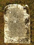 image of grave number 87510